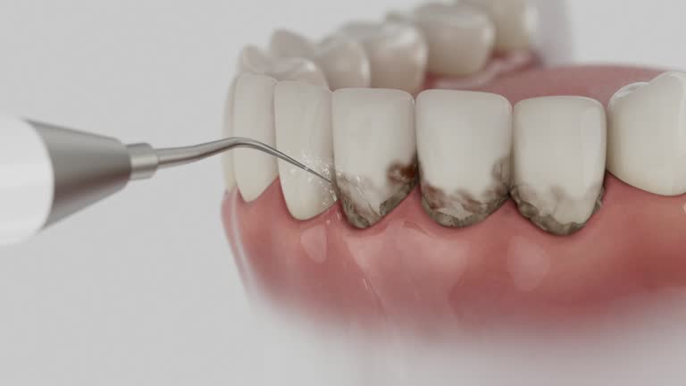 Reliable Dental contractor in Decatur, AR by Dentist Open Now